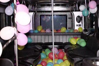 Party Bus Rental Muskegon 